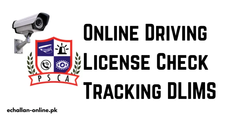 online driving license check